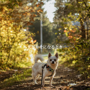 Music for Cooking Playlist的專輯犬が幸せになるとき