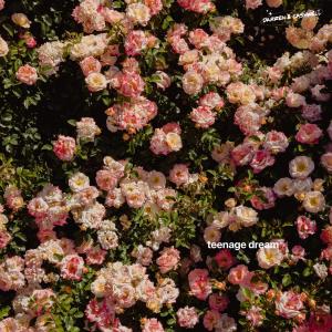 อัลบัม teenage dream ศิลปิน Darren Cashwell