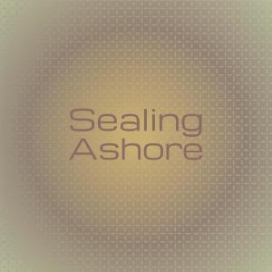 Listen to Twelve Celestial song with lyrics from Jamy Kree