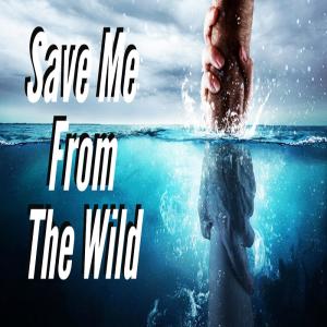 ดาวน์โหลดและฟังเพลง Save Me From The Wild พร้อมเนื้อเพลงจาก Brent Hutchinson