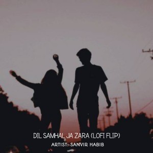 Listen to DIL SAMBHAL JA ZARA (Lofi Flip) song with lyrics from Sanvir Habib