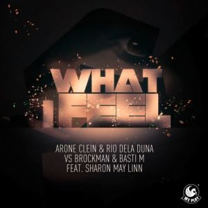 Arone Clein的專輯What I Feel (feat. Sharon May Linn)