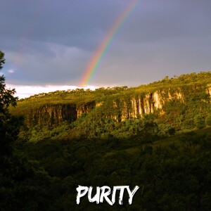 Album Purity from Dy Kamylle