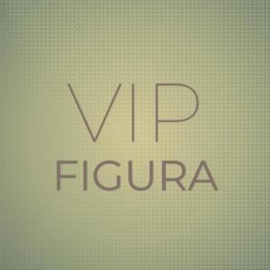 Various的专辑Vip Figura