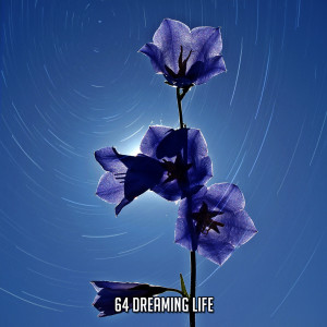 อัลบัม 64 Dreaming Life ศิลปิน Rest & Relax Nature Sounds Artists