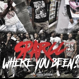 收聽Bigg Sparcc的Cj Flow (Craccin 4) (Explicit)歌詞歌曲