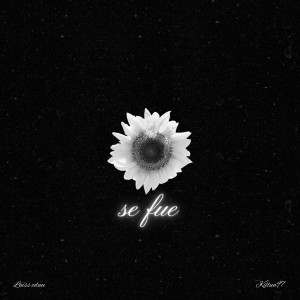 Listen to Se Fue song with lyrics from Luiss eduu