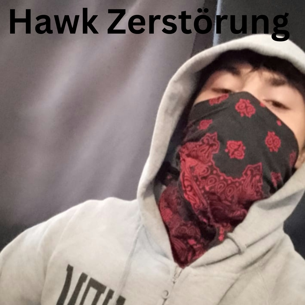 Hawk Zerstörung (Explicit)