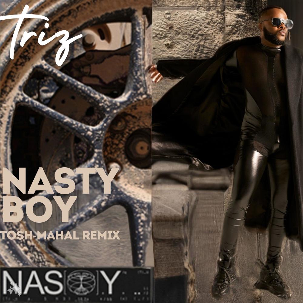 Nasty (boymix|Tosh-Mahal Mix Remix)