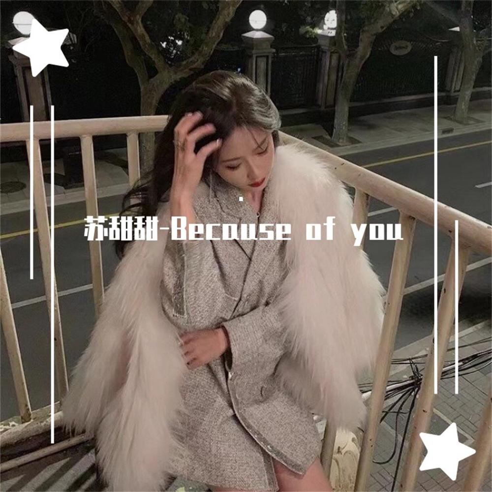 SOBER (DJ抖音版)