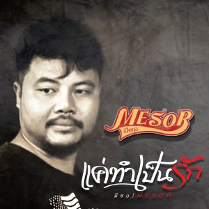 Listen to แค่ทำเป็นรัก song with lyrics from มีซอ