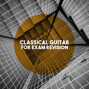 Dengarkan lagu Concerto Viola D'Amore and Lute in D Minor, RV 540: III. Allegro nyanyian Wiener dengan lirik