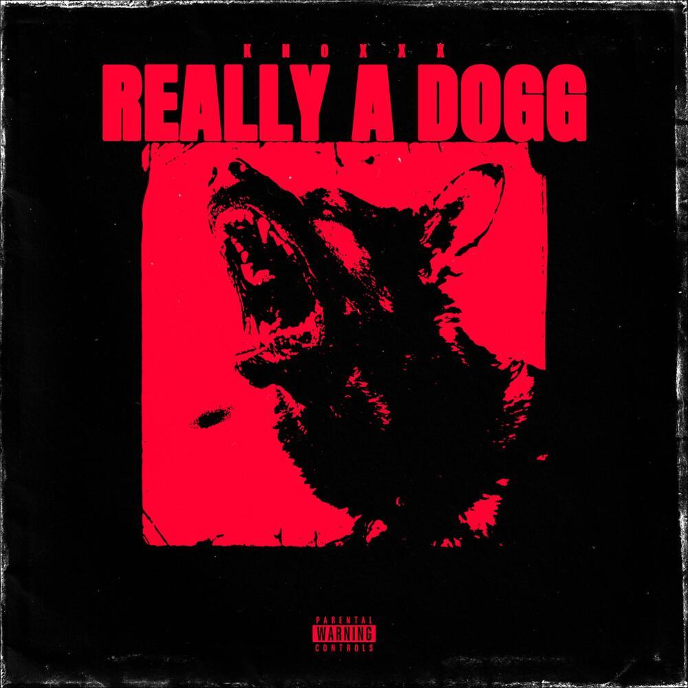Really A Dogg (Explicit)