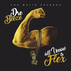 Listen to All I Know Is Flex (Explicit) song with lyrics from Dre Beeze