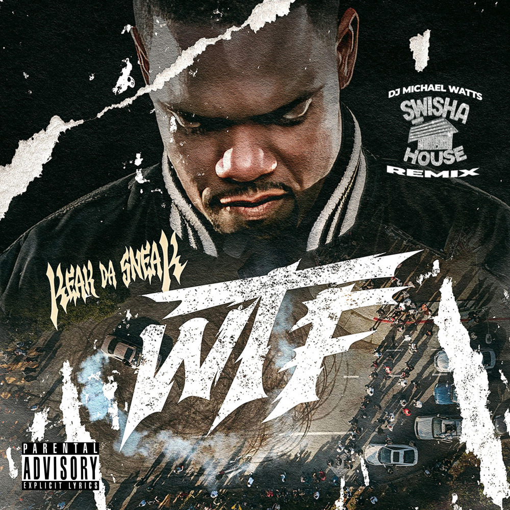 WTF (Swisha House Remix|Explicit)
