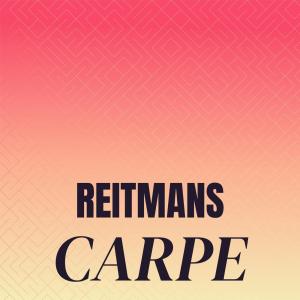 Album Reitmans Carpe oleh Various