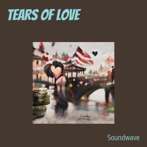 Tears of Love