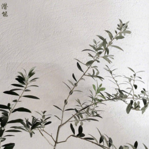 收聽安寂的潛能歌詞歌曲