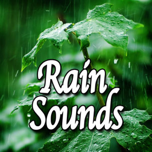 收聽Natural Sounds的Soothing Rainshower for Deep Sleep (Nature Sound)歌詞歌曲