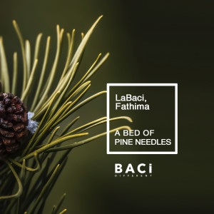 Listen to A Bed Of Pine Needles (Chill Out Mix) song with lyrics from LaBaci