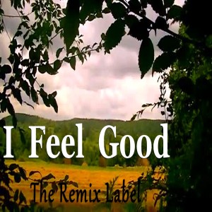 收聽Cristian Paduraru的I Feel Good歌詞歌曲
