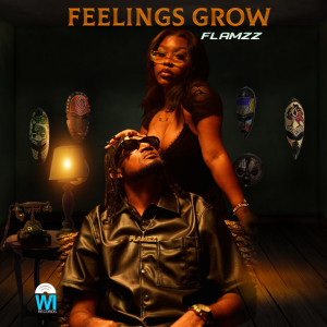 Flamzz的專輯Feelings Grow