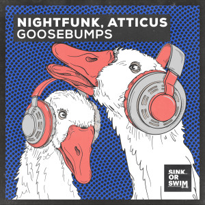 NightFunk的專輯Goosebumps