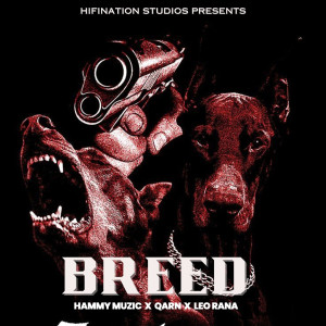 收聽Hammy Muzic的Breed歌詞歌曲