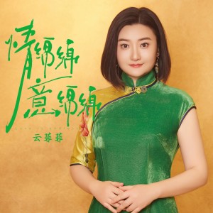 雲菲菲的專輯情綿綿意綿綿