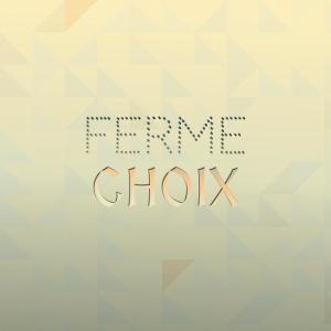 อัลบัม Ferme Choix ศิลปิน Various