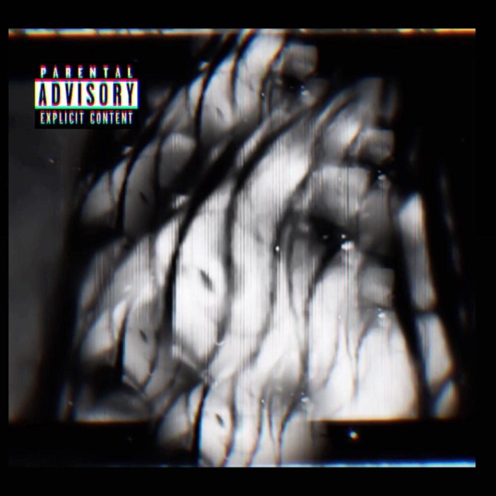 moonlight sonata! (feat. Kobana) (Explicit)