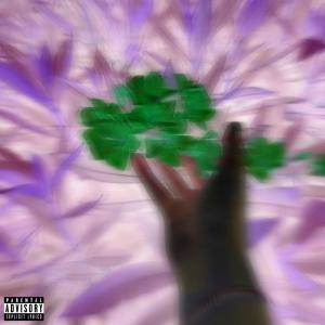 Lillebror的專輯POISON (Explicit)