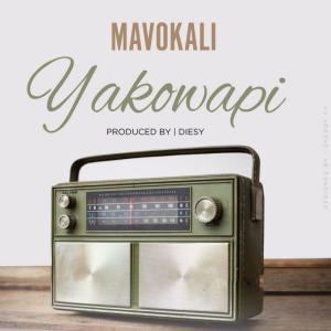 Listen to Yuko Wapi song with lyrics from Mavokali