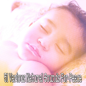 Album 51 Various Natural Sounds for Peace from Deep Sleep Relaxation