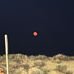 NEGARB的專輯Día gélido