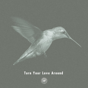 Album Turn Your Love Around from AmPm