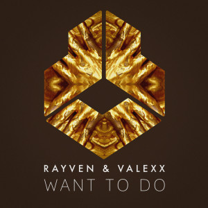 Album Want To Do from Rayven & Valexx