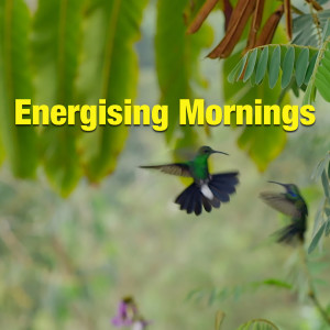 Various Artists的專輯Energising Mornings