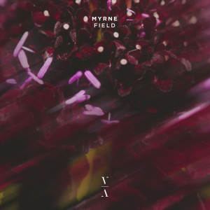 ดาวน์โหลดและฟังเพลง Field พร้อมเนื้อเพลงจาก MYRNE