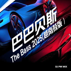 Album 巴巴贝斯 the bass 2025 (越南鼓版) from DJ pw