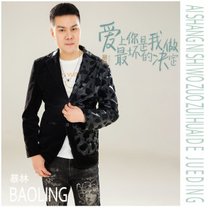 收聽暴林的愛上你是我做最壞的決定歌詞歌曲