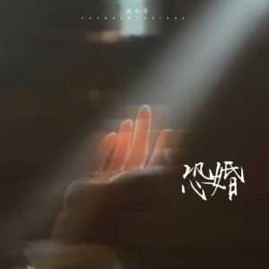 Listen to 恐婚 (完整版) song with lyrics from 南小希