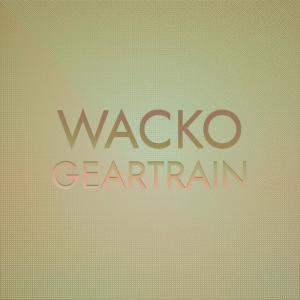 Various Artists的專輯Wacko Geartrain