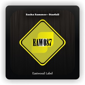 ดาวน์โหลดและฟังเพลง Starfall พร้อมเนื้อเพลงจาก Sasha Sammer