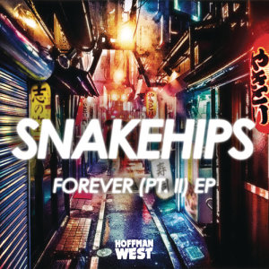 ดาวน์โหลดและฟังเพลง Gone พร้อมเนื้อเพลงจาก Snakehips