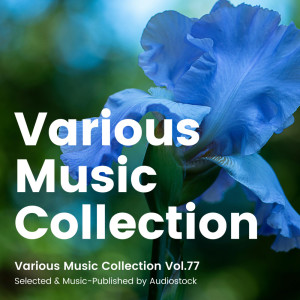 ดาวน์โหลดและฟังเพลง 魔宮の花嫁 พร้อมเนื้อเพลงจาก Yusuke Shimizu