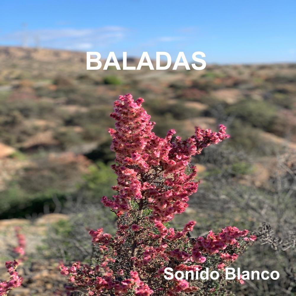 LAS OLAS DE LA VIDA