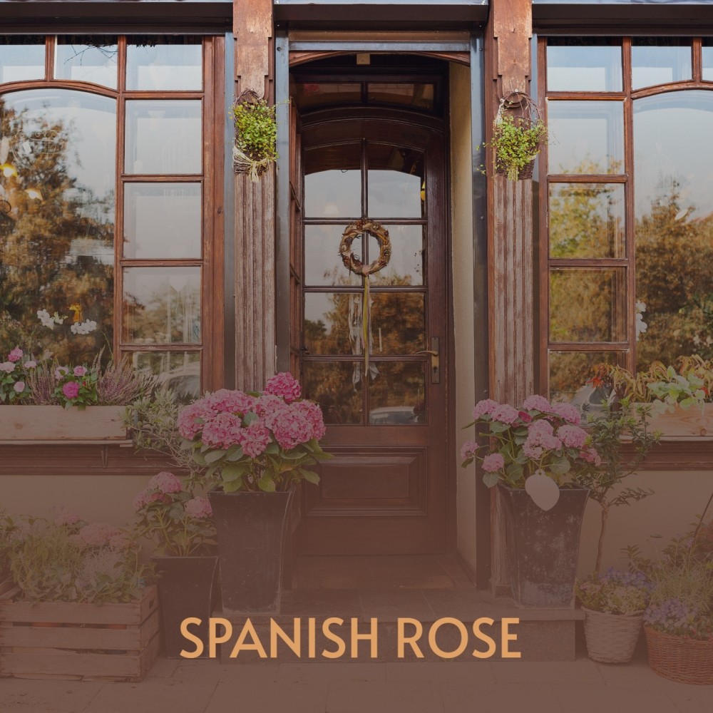 Spanish Rose