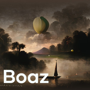 收聽Boaz的Messy Accelerated Tortoise of Blizzar歌詞歌曲