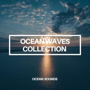 Album Ocean Waves Collection from Ocean Sounds